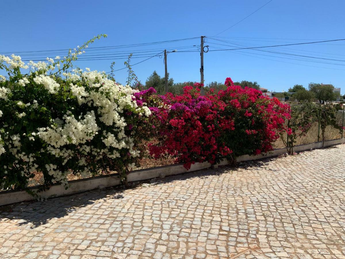 Guest House Alfarrobeiras Albufeira Eksteriør billede